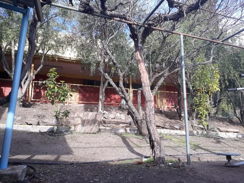Vista previa