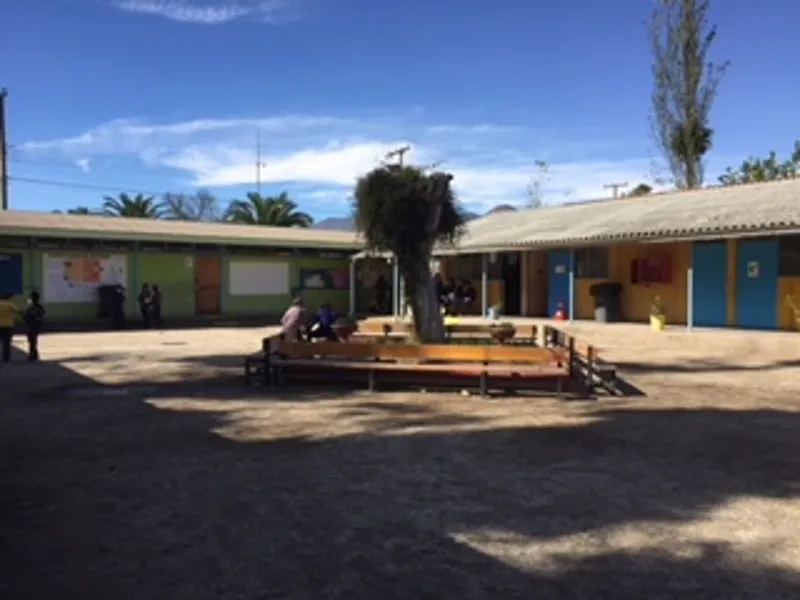 Vista previa