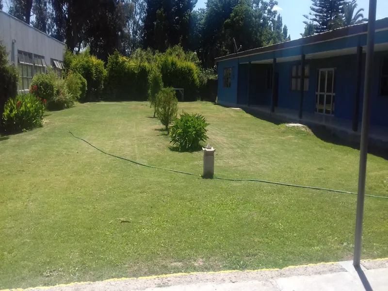 Vista previa