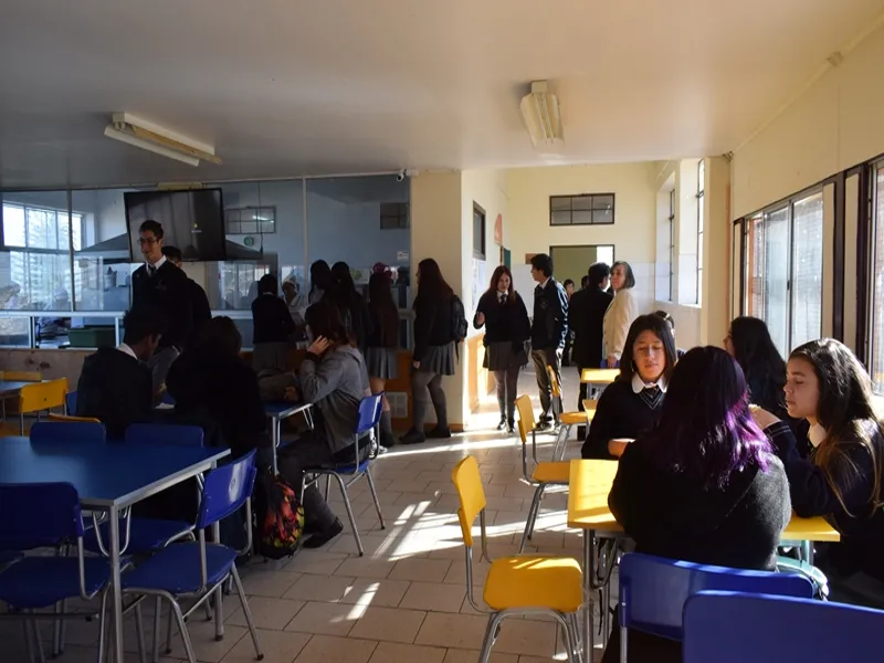 Vista previa