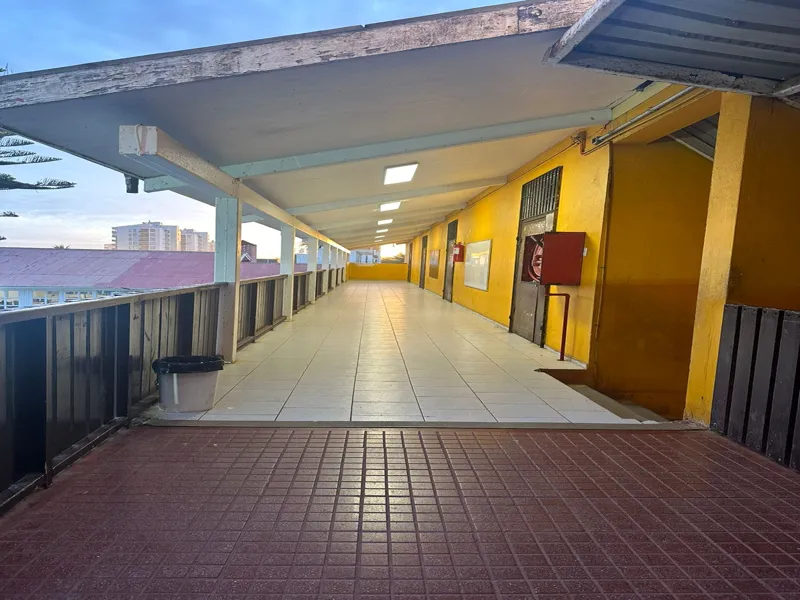 Vista previa