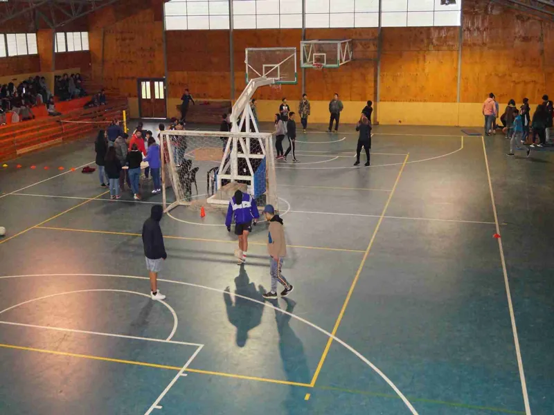 Vista previa