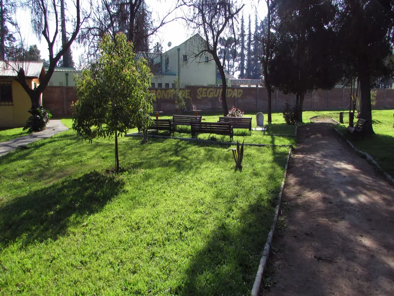 Vista previa