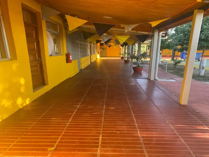 Vista previa
