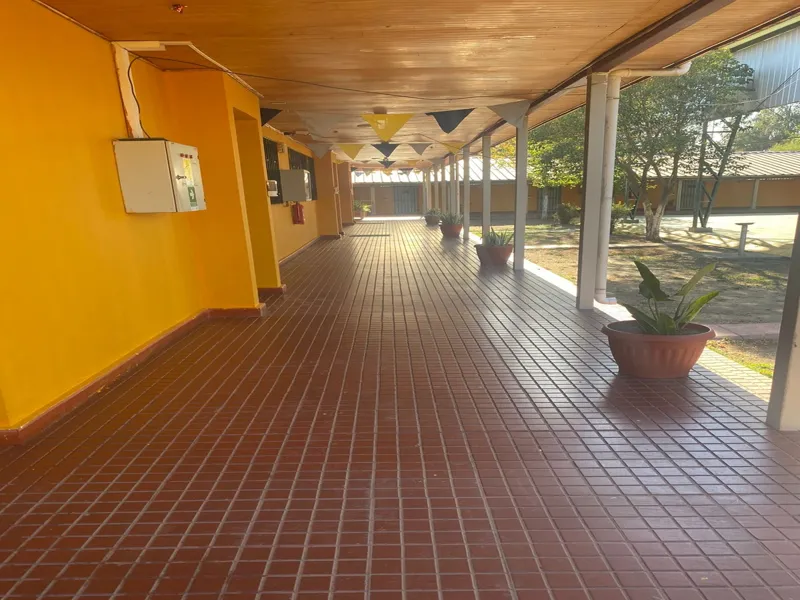 Vista previa