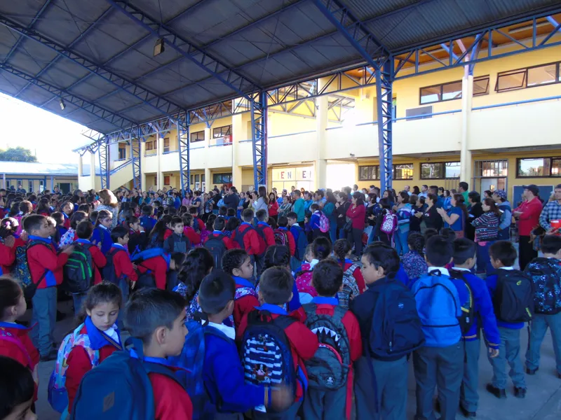 Vista previa