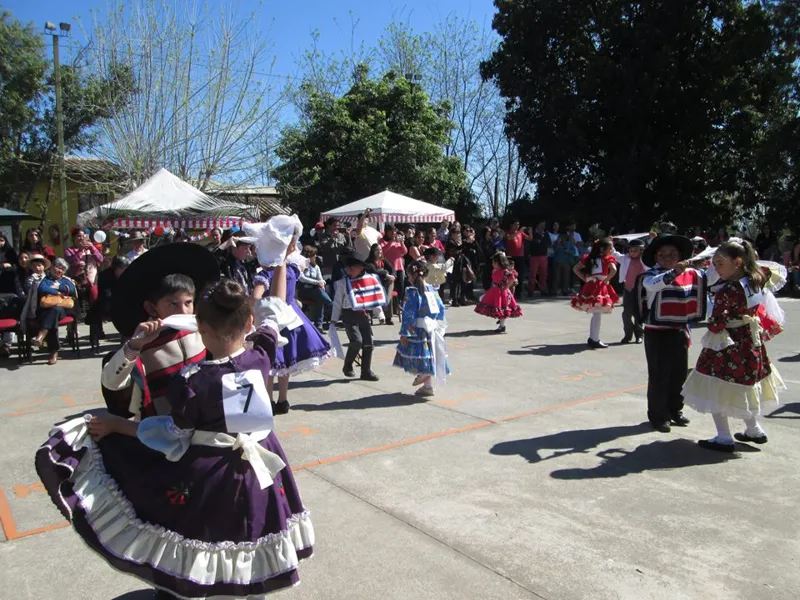 Vista previa