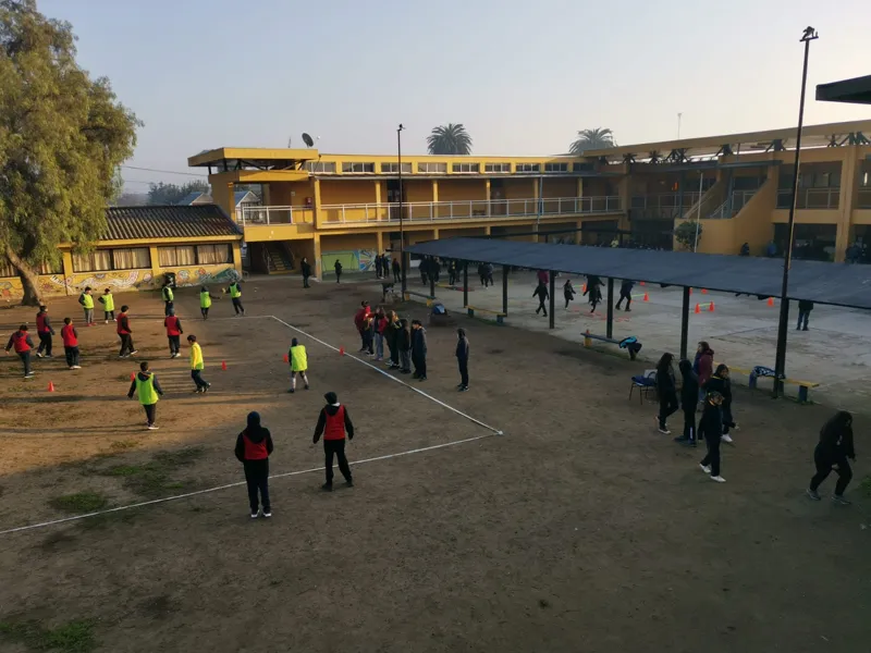Vista previa