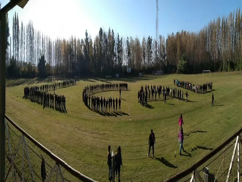 Vista previa