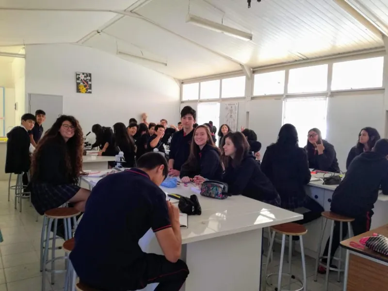 Vista previa
