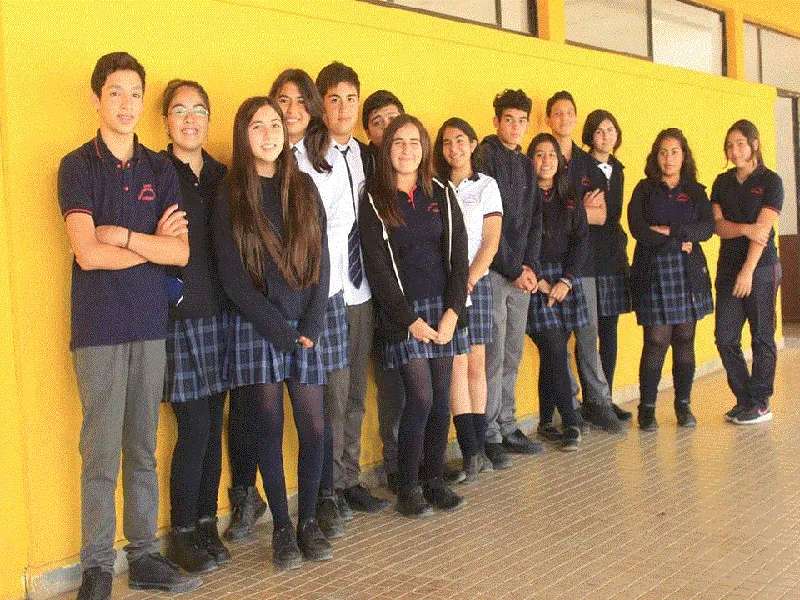 Vista previa