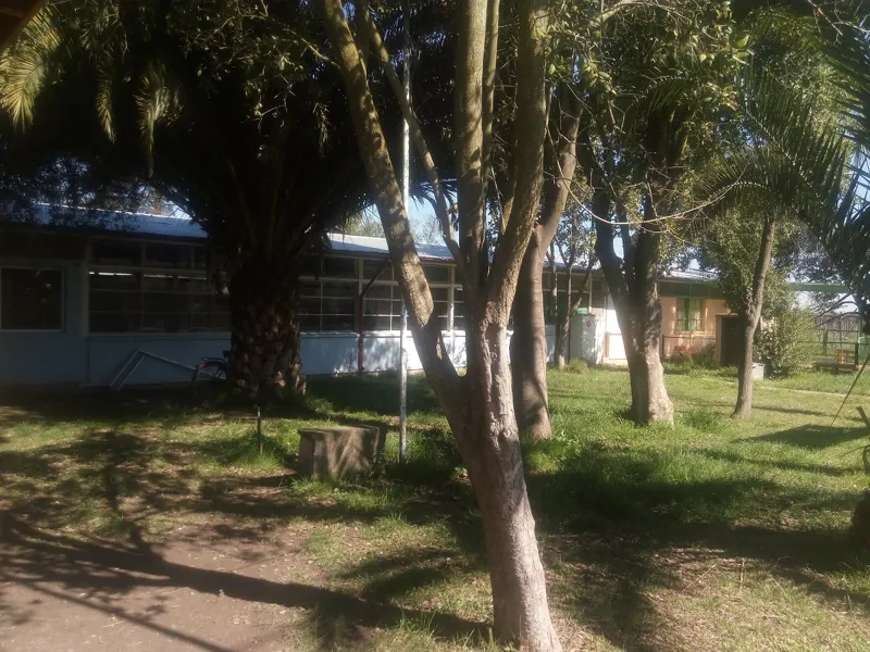 Vista previa