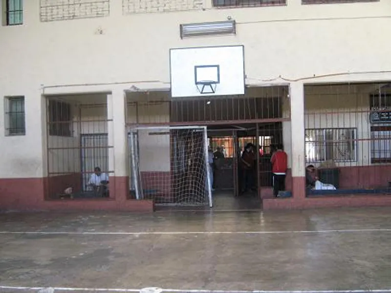 Vista previa