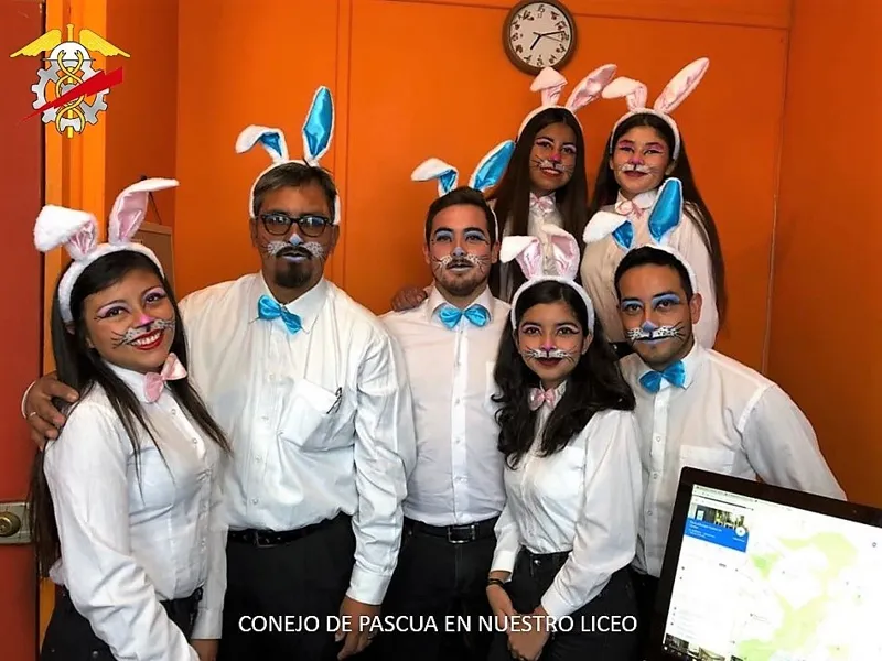 Vista previa